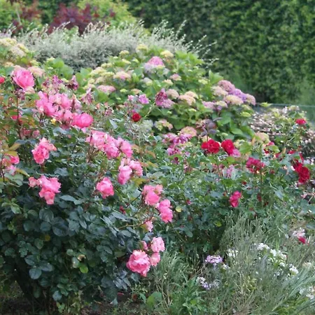 Bed and Breakfast D'hotes Le Clos Fleuri Criel-sur-Mer