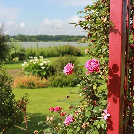 Bed & Breakfast D'hotes Le Clos Fleuri Criel-sur-Mer
