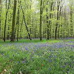 Bed & Breakfast D'hotes Le Clos Fleuri 3*