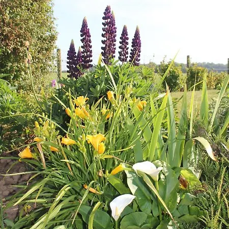 D'hotes Le Clos Fleuri Alojamento de Acomodação e Pequeno-almoço 3*