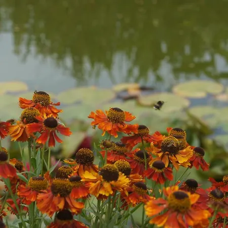 D'hotes Le Clos Fleuri Alojamento de Acomodação e Pequeno-almoço